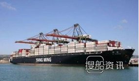 中远海运集装箱船 阳明海运放弃订造超大集装箱船,中远海运集装箱船