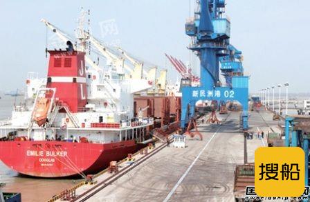 两艘5万吨级木材船停靠新民洲港