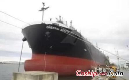 日本飞马海运一艘新造木屑运输船下水投入运营,一艘运输船多少钱