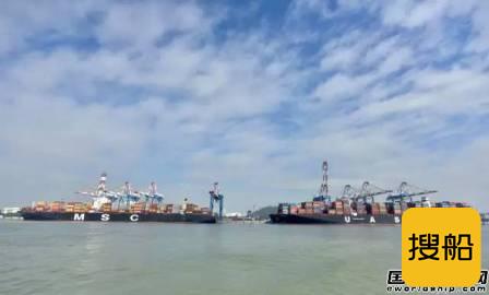两艘超大型集装箱船首次同时接靠厦门港