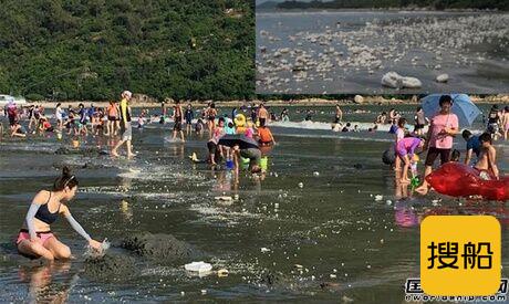 两船相撞致9000吨棕榈油泄漏污染香港海滩