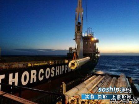 国家新成立部门 Thorco Projects成立新散运部门,国家新成立部门