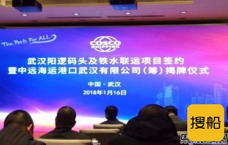 中远海运集团武汉阳逻码头项目揭牌