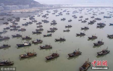 全国压减海洋捕捞渔船将不少于4000艘