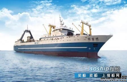 开创远洋拟出售船舶推进金枪鱼产业链建设,黑鳍金枪鱼