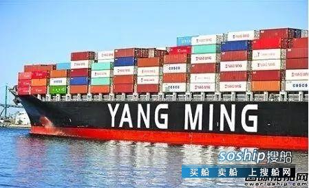 阳明海运三季度净亏损约3.2亿元创5季以来最高,为什么叫阳明