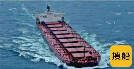 INTERCARGO：干散货船仍是国际航运和全球贸易的主力军