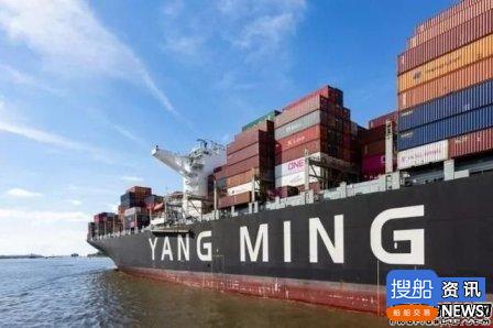阳明海运:集运市场不会重演2009年惨状,