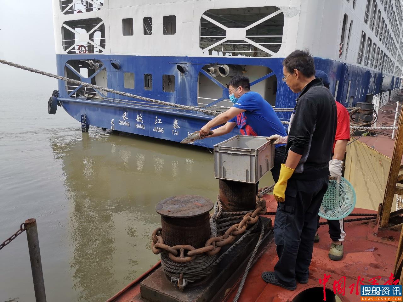 一人一船一摩托 岂容放肆电捕鱼 长航公安汉阳派出所破获一起“流动式”非法捕捞案