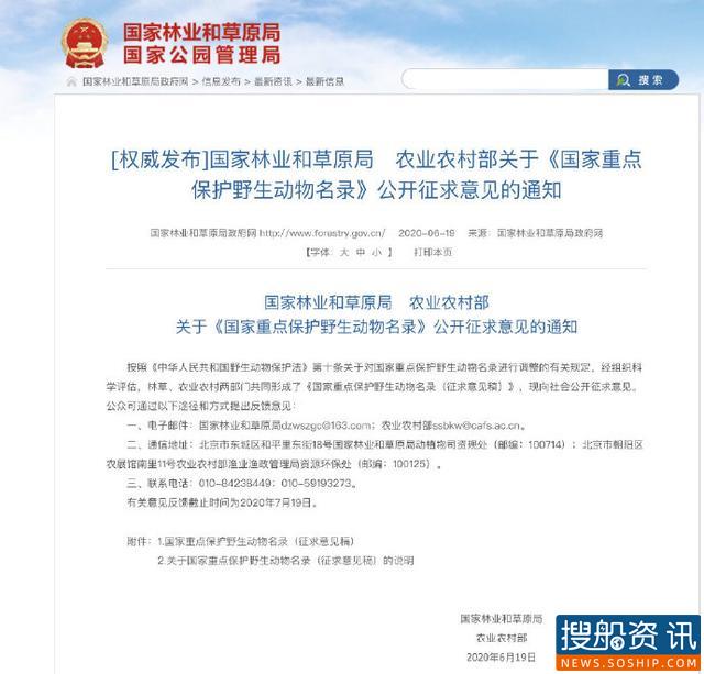 征求意见了!长江江豚拟升级为国家一级保护动物