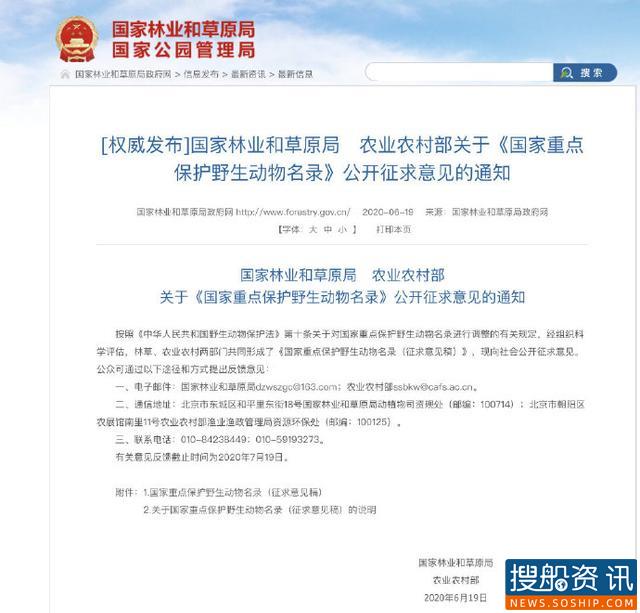征求意见了！长江江豚拟升级为国家一级保护动物