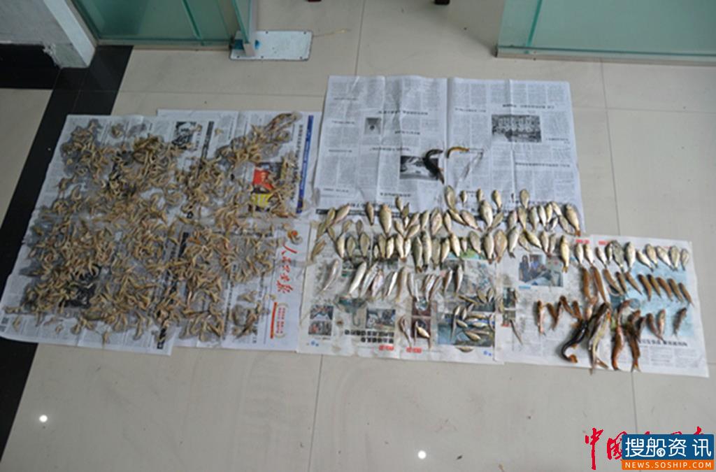长江公安泸州分局有力推进打击长江流域非法捕捞专项整治行动