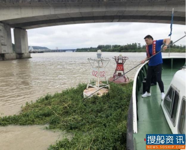 杂草缠绕航标 盱眙港航助力平安出航