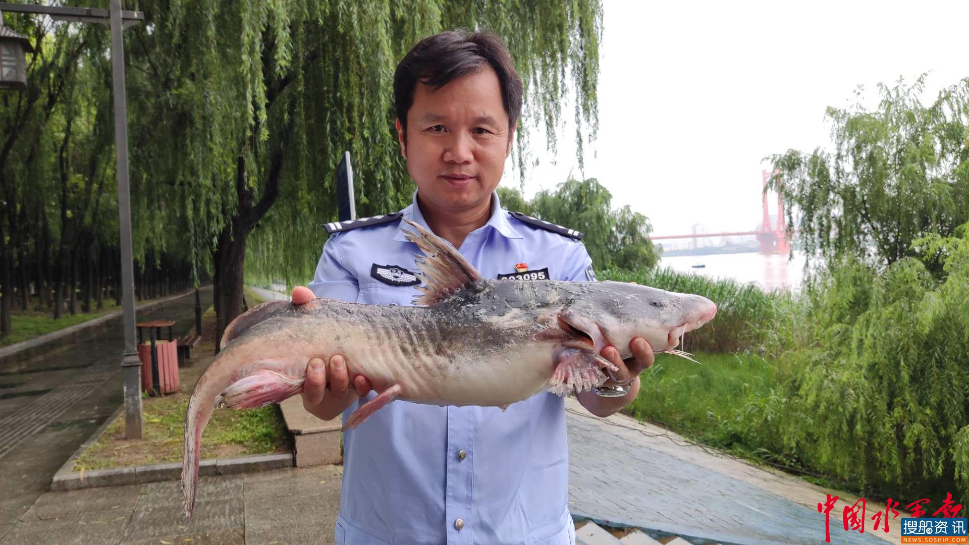 长航武汉警方破获长江武汉段首起利用超声波非法捕捞案件 抓获“捕运销”犯罪团伙5人