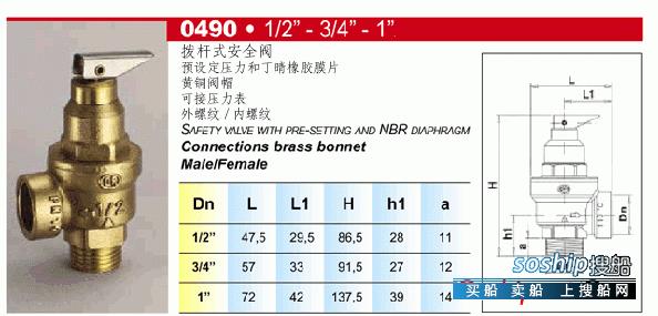 进口锅炉安全阀