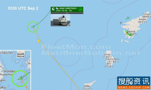 SOS! 一艘载有43名船员的牲畜运输船失踪