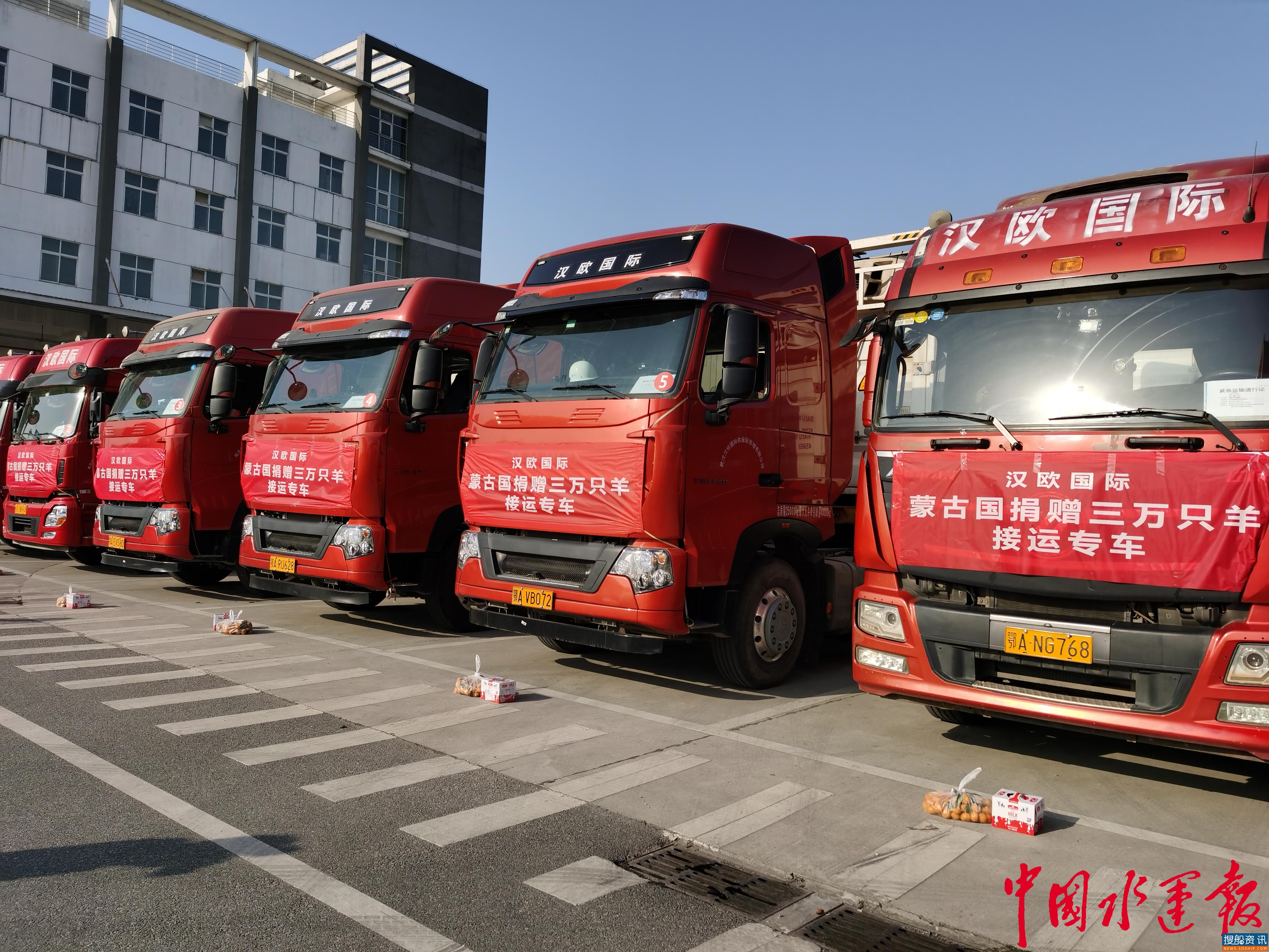 汉欧国际赴二连浩特接运蒙古国三万只羊
