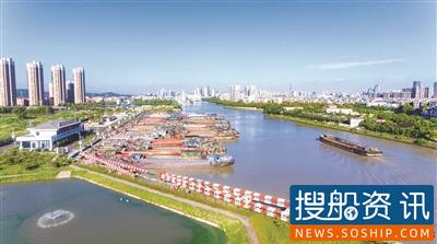 浙江水运绿意浓