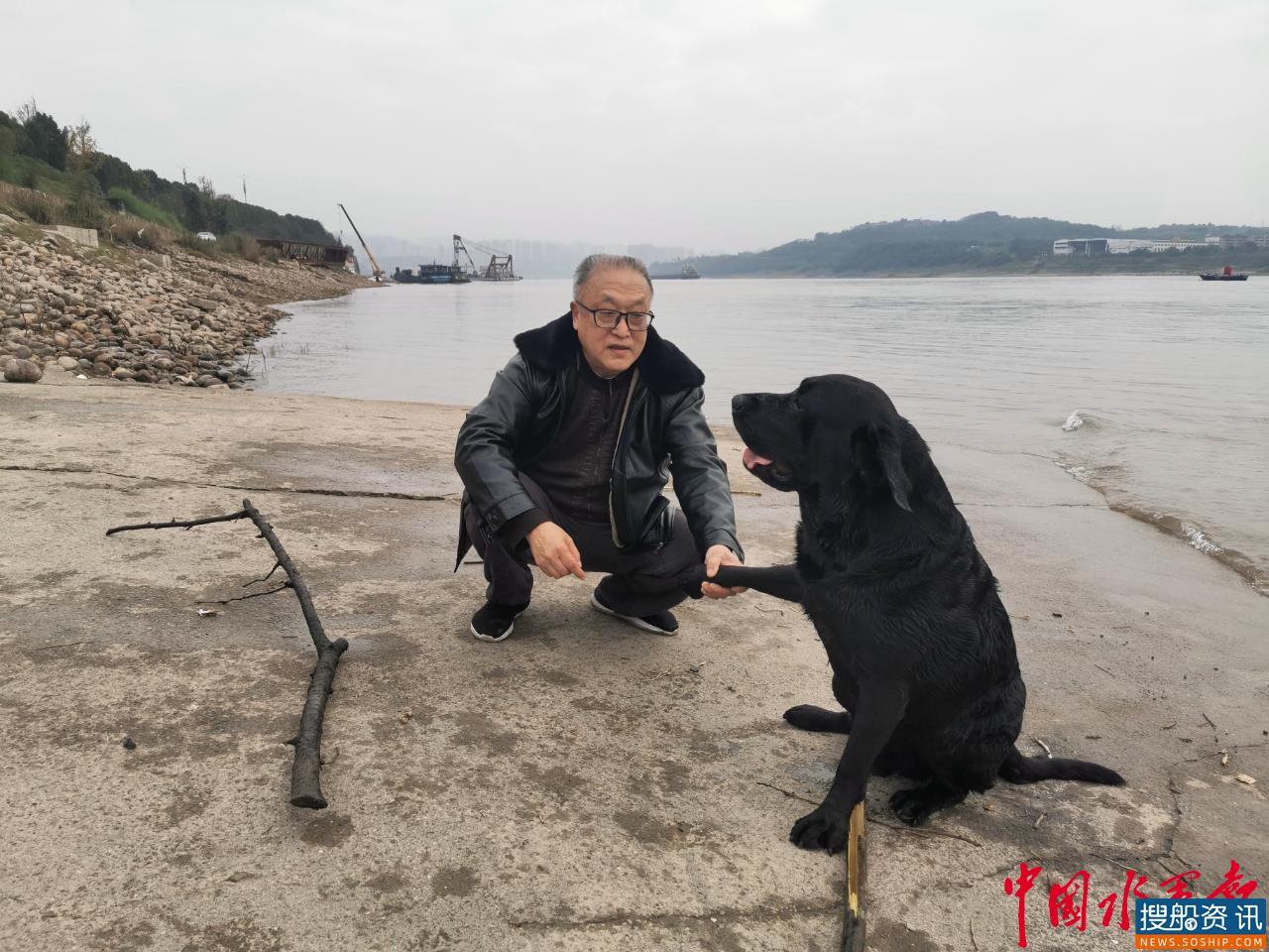 重庆巴南一宠物犬变身长江“环保卫士” 3年捡垃圾2800余件