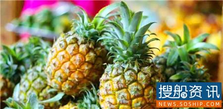 德路里看好水果海运冷链前景预测未来4年年均增长率将超6%
