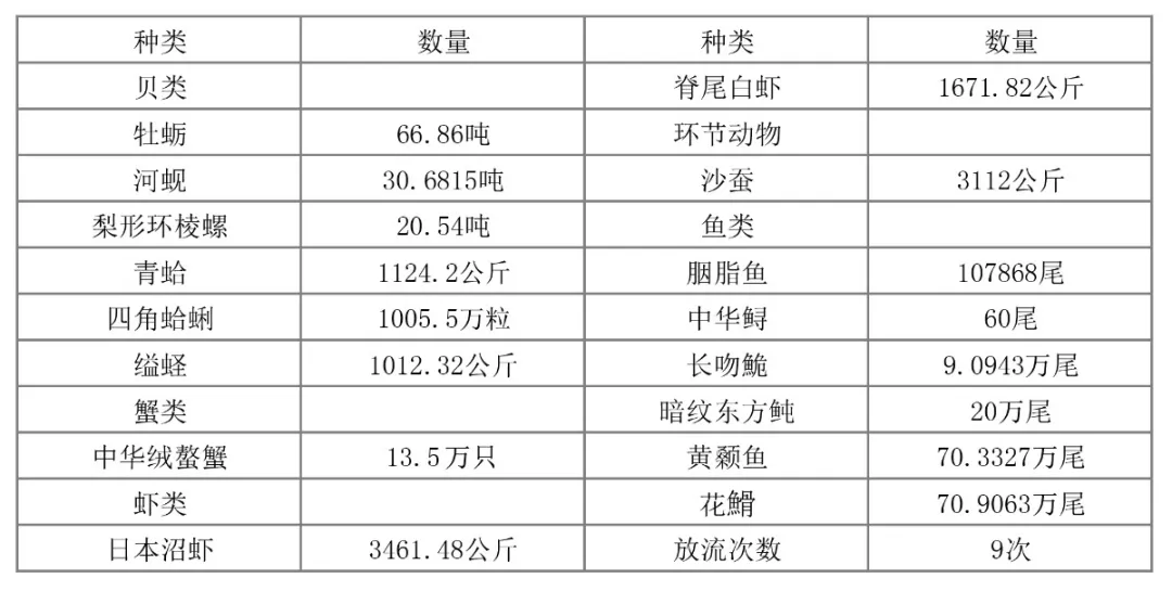 图说长江口 奋楫新时代