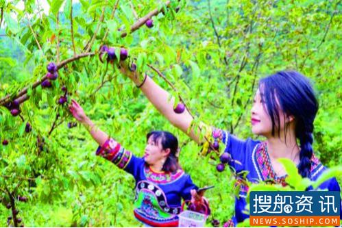 决战脱贫