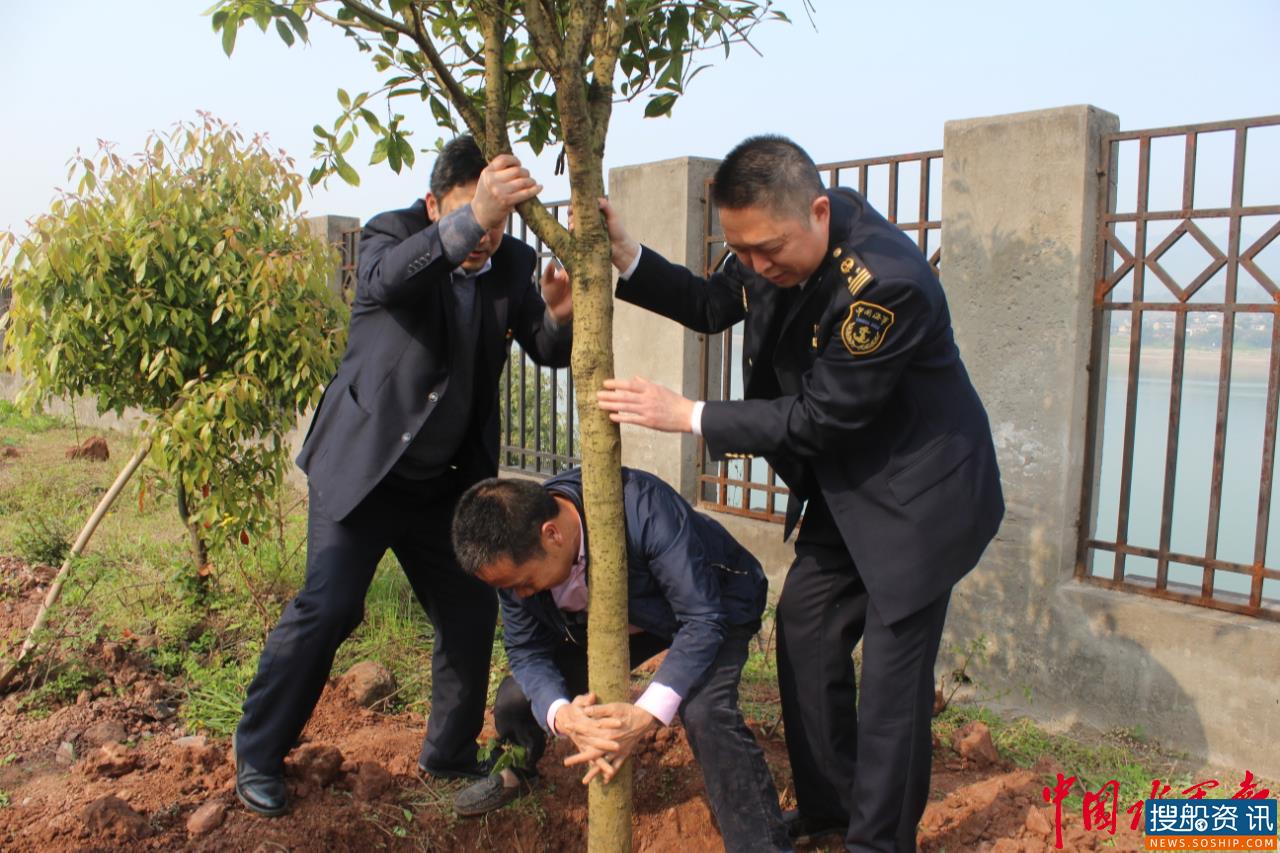 春风十里 一场以“绿”为名的党支部共建活动在长寿展开