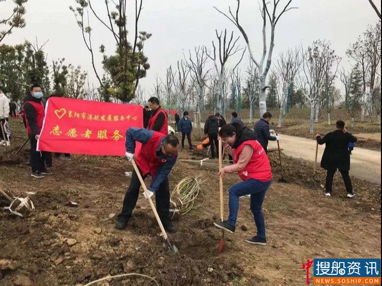 种植一抹新绿,让世界少一些“碳息”——襄阳市港航发展服务中心开展义务植树活动