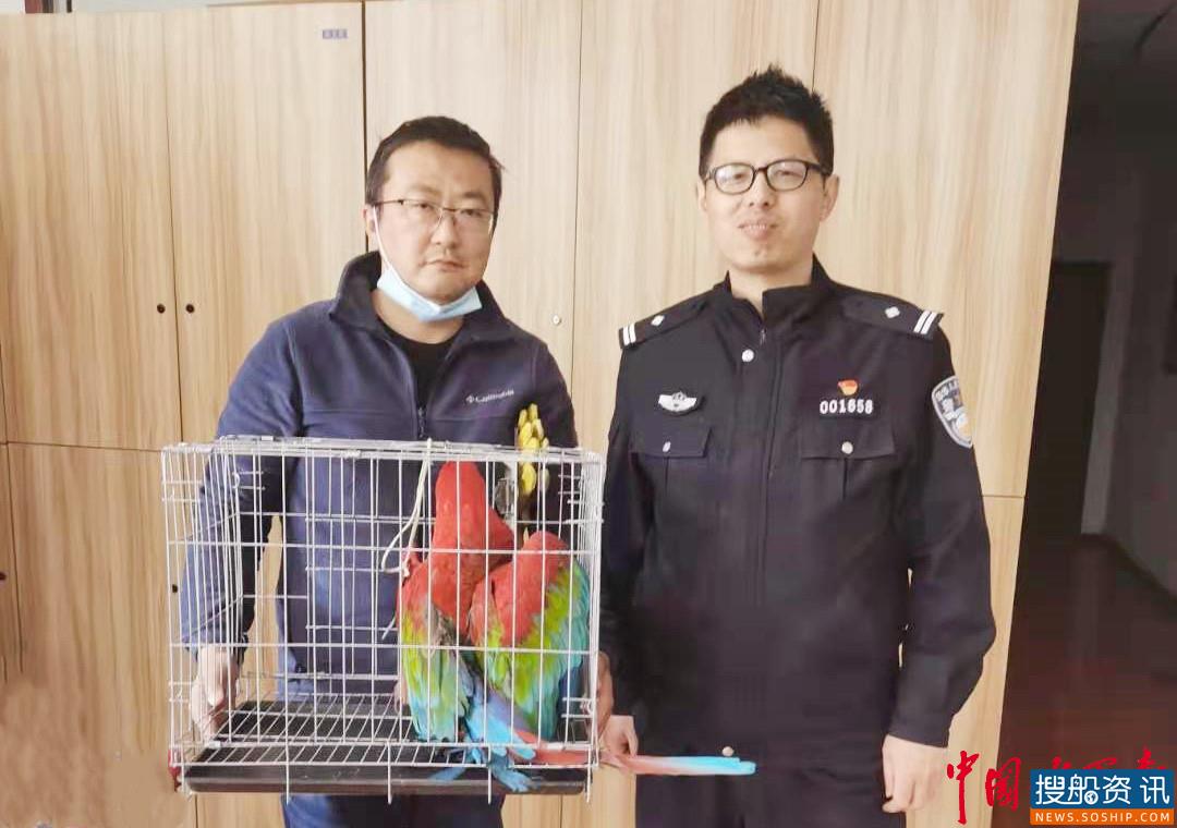 长航武汉公安民警暖心救助国家二级保护动物