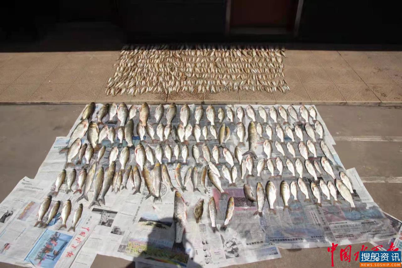 长航公安马鞍山派出所联合渔政查获10名非法捕捞人员