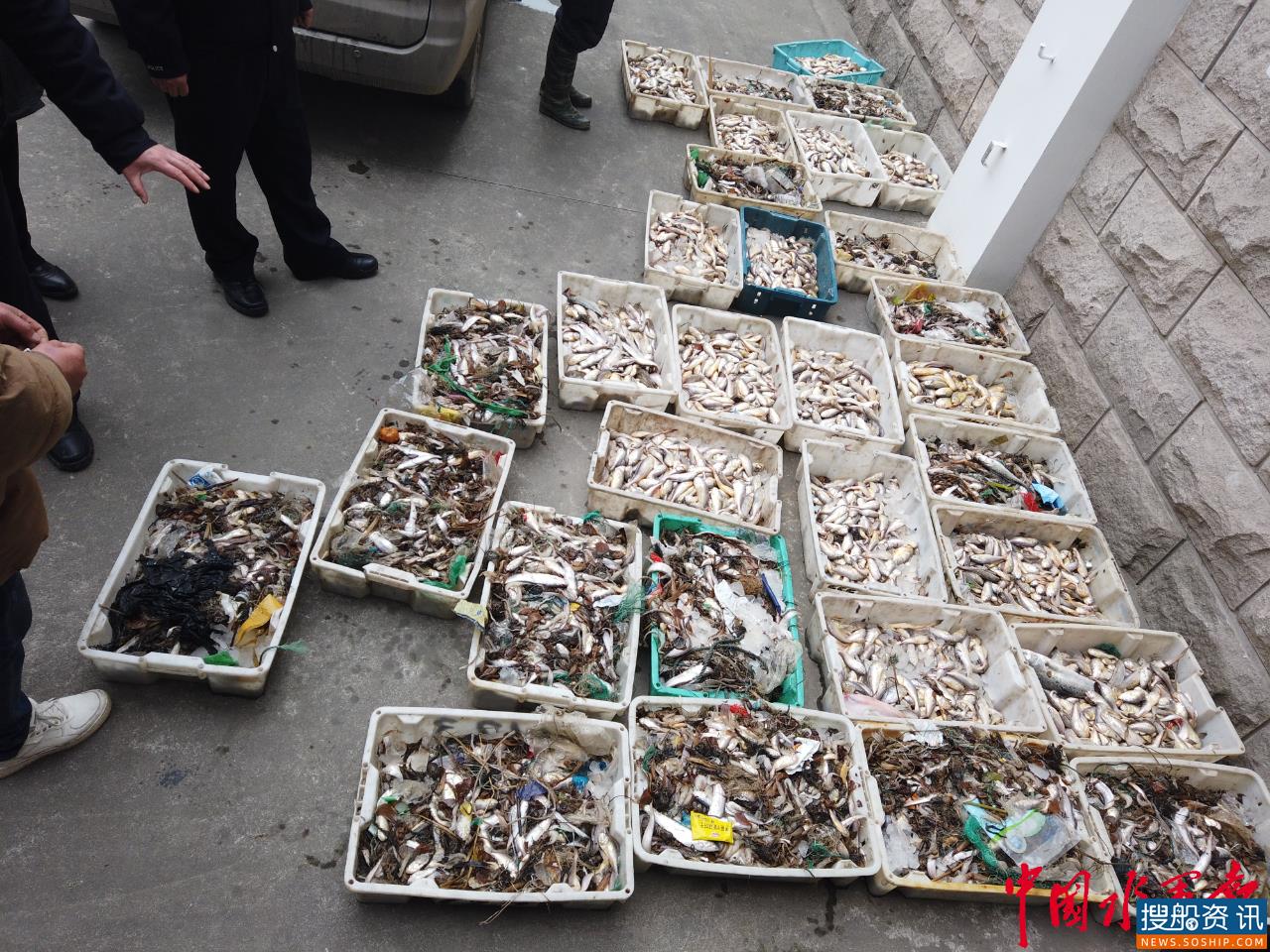 长航公安上海分局破获今年首起长江口非法捕捞案件