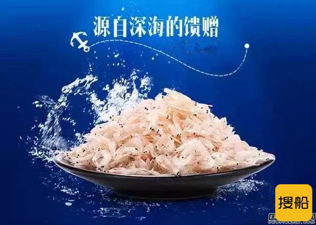 宁波大江船业建造国内最大最先进虾皮加工船下水