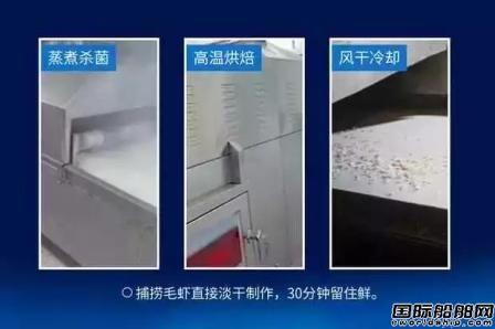 宁波大江船业建造国内最大最先进虾皮加工船下水