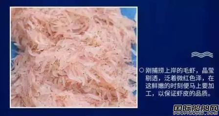 宁波大江船业建造国内最大最先进虾皮加工船下水