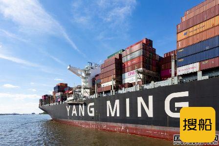 快下单了！阳明海运首次证实将订造两万箱超大型船