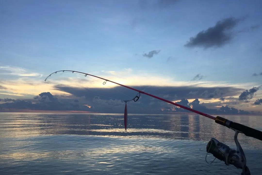 清水湾国际海钓中心丨来一次前所未有的海钓之旅