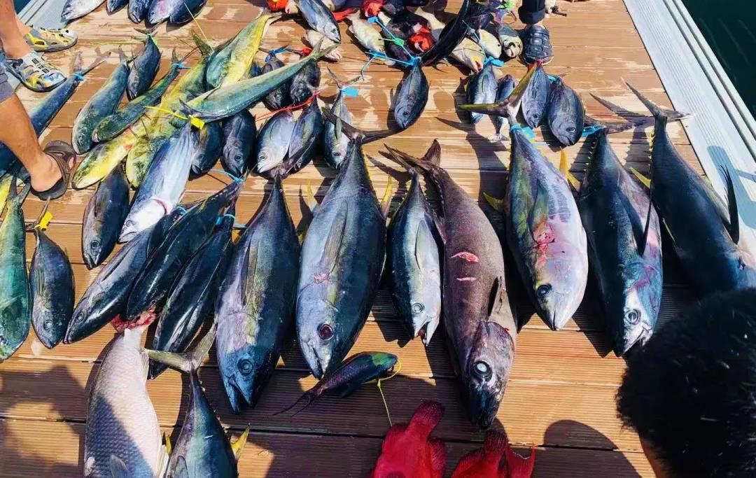 清水湾国际海钓中心丨来一次前所未有的海钓之旅
