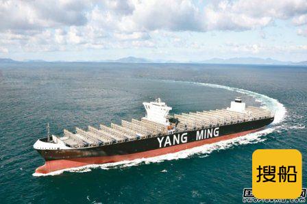 20艘超大型集装箱船订单定了?阳明海运“辟谣”