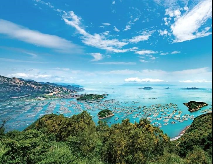 你心中的最佳游艇旅游城市？快来投上宝贵一票！