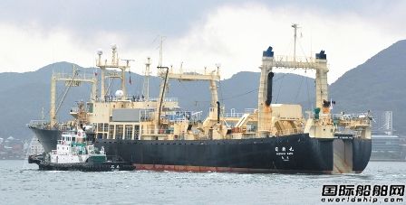  造价60亿日元！旭洋造船将建日本第二艘捕鲸母船,