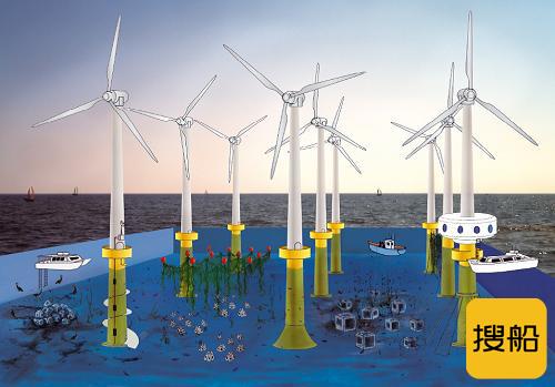 【海洋论坛】海上风电工程对海洋生物影响的研究进展