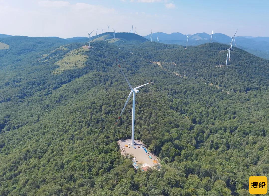 电气风电&北方国际 共商中东欧新能源项目开发