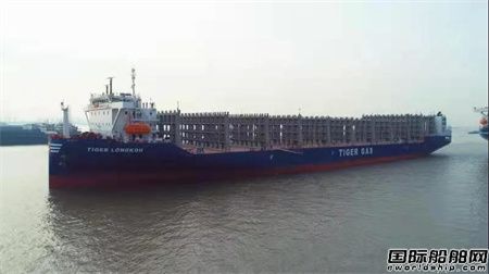  全球最大！扬子江船业交付首制700箱级罐箱甲板船,