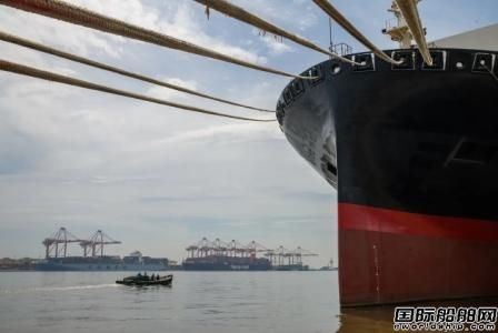 中国市场启动！BDI指数四连涨创近1个月新高