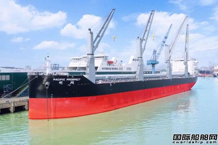  南京金陵船厂“云”交付第2艘62000吨多用途重吊船,