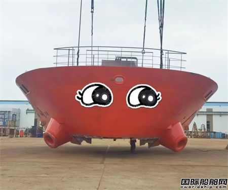  扬州金陵7990吨不锈钢化学品船上建成功吊装,