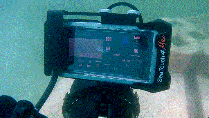 手机秒变水下监视器｜DIVEVOLK 发布SeaLink接触式水下WI-Fi传输器