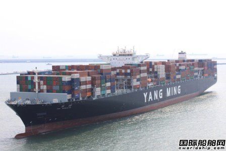 阳明海运11月营收同比环比双双下跌,