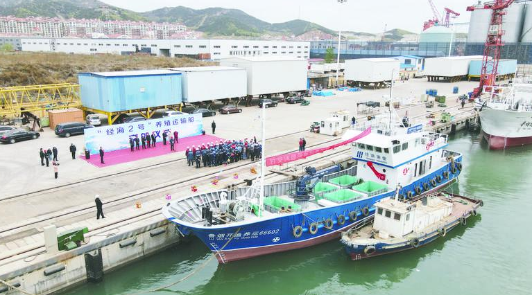  北方造船交付烟台首艘自建活鱼养殖运输船“经海2号”,