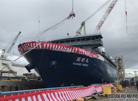 70年来首艘！旭洋造船建造新捕鲸母船“关鲸丸”号下水